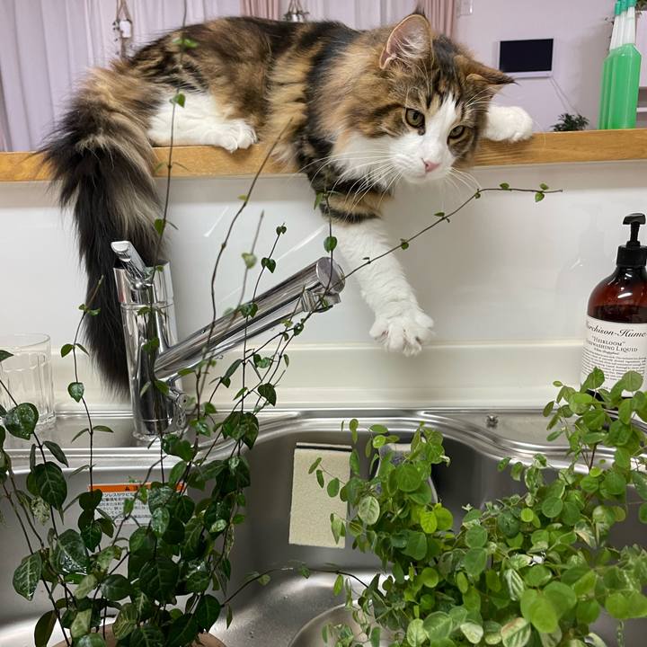 33836548 1472 4566 8c54 01937d2738d3 1640524034360