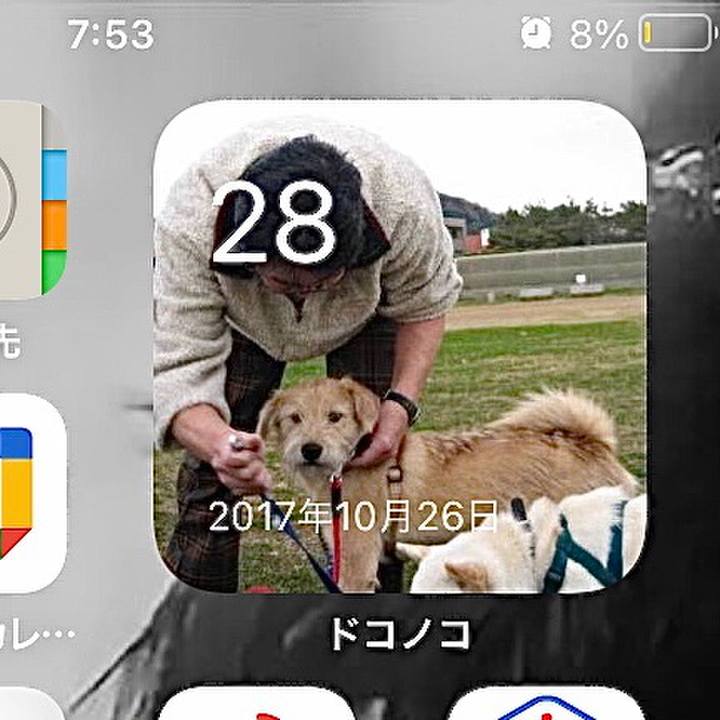 3383683a 67d2 4c8c 94f8 6b75b350e4a0 1635375340703