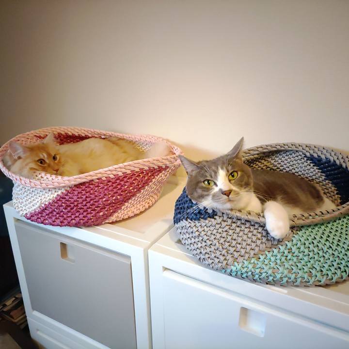 3383685d 0e0f 4996 9d26 7f944bc218c9 1656675527103