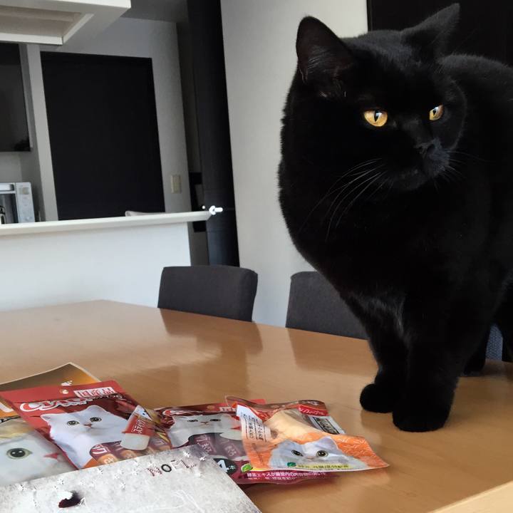 33836fc4 f0ae 48b9 9170 94f6cd6d1625 1577234225295