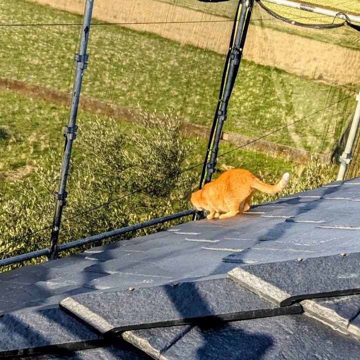 338377b1 5733 4ccc 85f4 cabf109cd99b 1772669561593