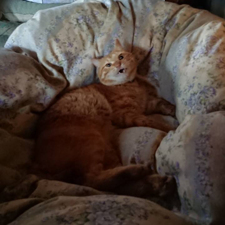 33839cec d892 4e8a 85e3 5ef6b599cfdf 1659131730238