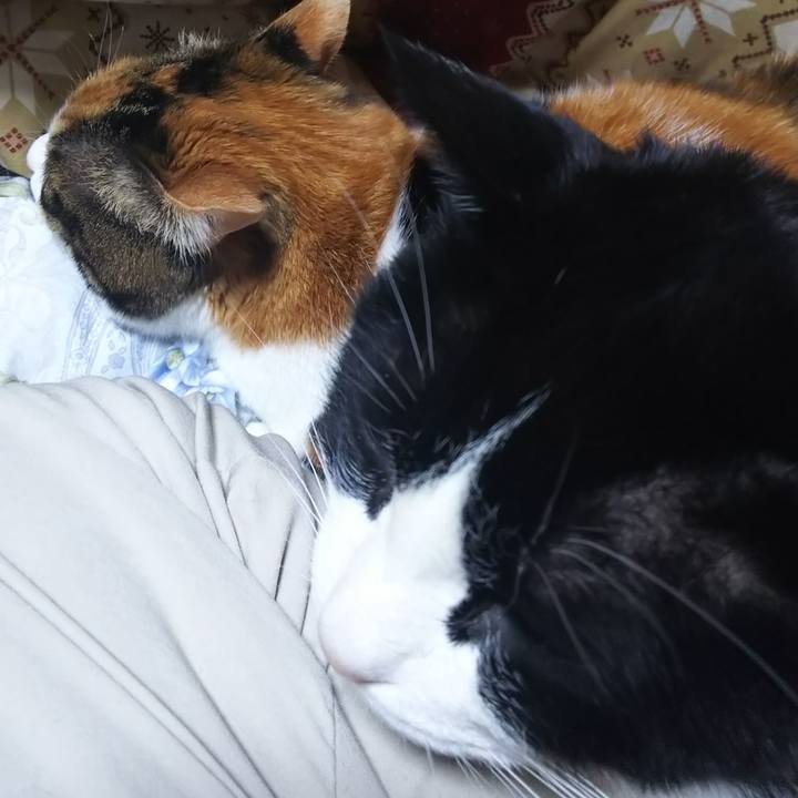 3383a752 3b2f 4ccc 9326 a2a0c806d56a 1580036009388