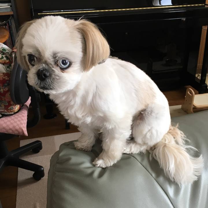 3383b064 691c 4b5f a73d d7fed18e45a7 1554597603389