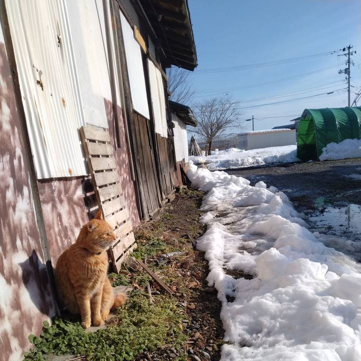 3383c412 6951 4f22 aa98 5185789a4a6e 1672191762010