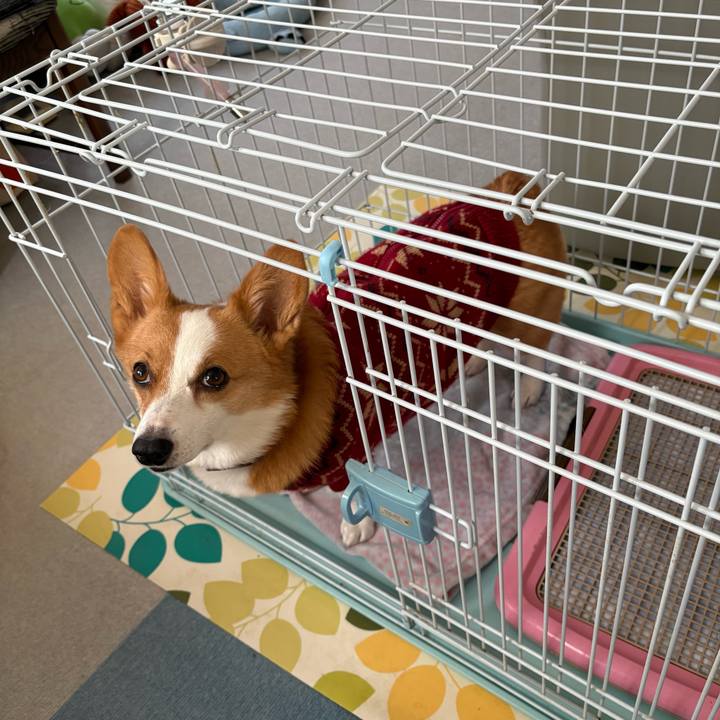 3383c41c 92ca 4dc0 869d 23501c52e11d 1768778679664