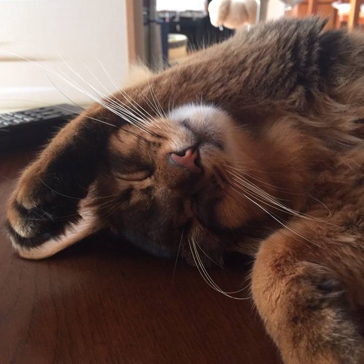 3383d8e8 8d0f 4792 9319 85590b1b43d8 1597324332192