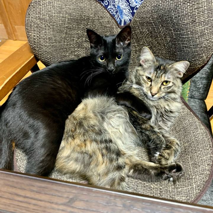 3383dcf3 d710 4af4 b6b8 ea8f504b2346 1653780031211