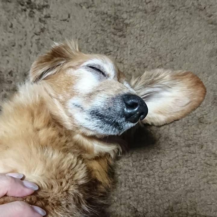 338402e0 13b4 4a5a a78f ef0f7f2a19a0 1509129952613