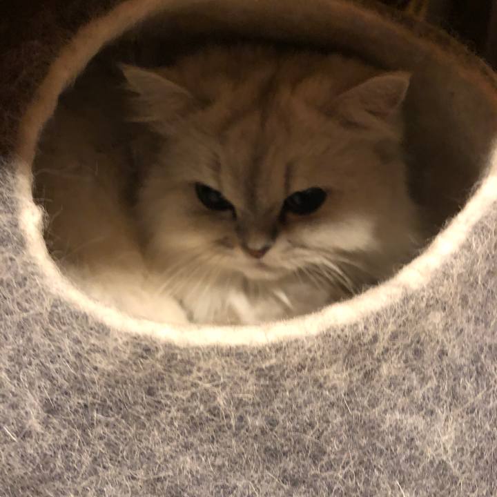 33842243 080b 4cd8 a54d 7a986316c801 1602029299864