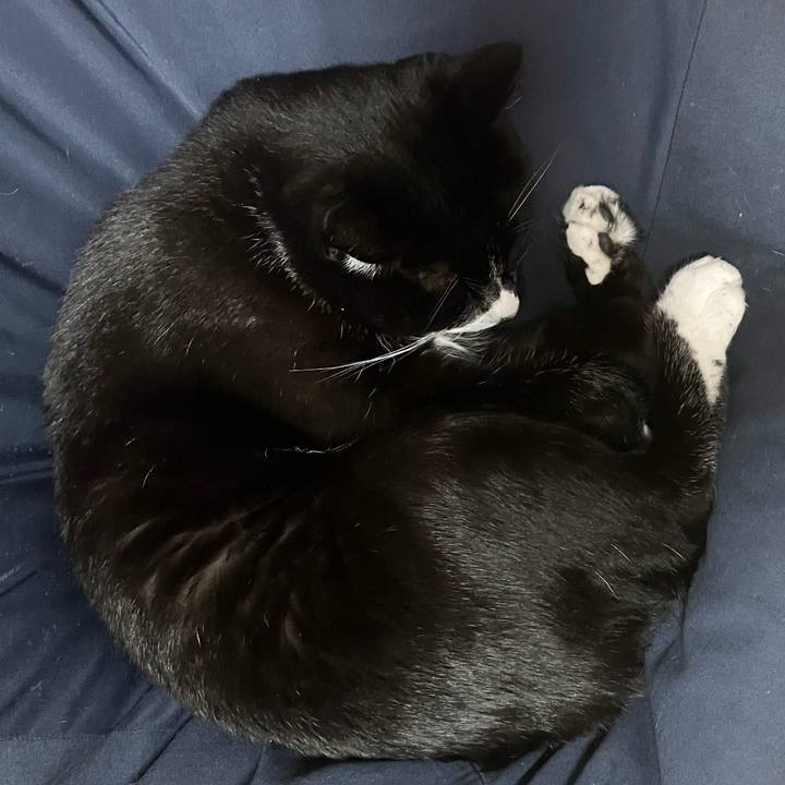 33842669 c167 455e 9c25 6558b398033a 1700796793636