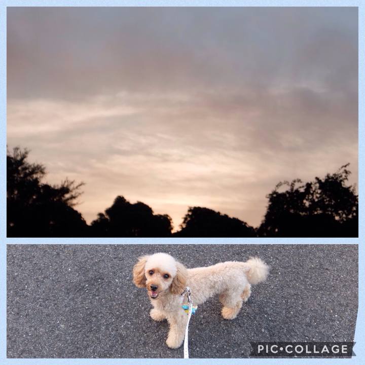 33843157 2d01 4f5d 9953 2b7f5dca0e3f 1537266949159