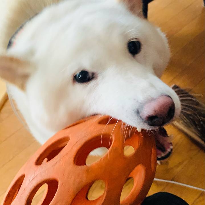 33844e6a 9e53 47d3 a1bb e935719cfb7d 1608078072205