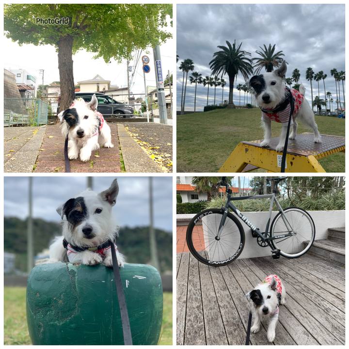 338460c8 d15b 45c8 8438 f686df3dd538 1732329453609