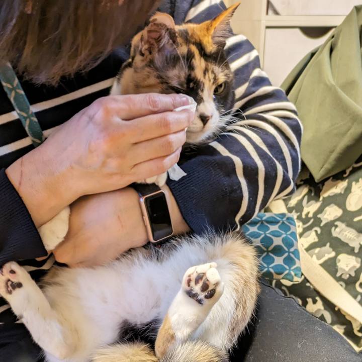 338482b7 e7f7 4630 ba72 2a4aed908616 1709004620559