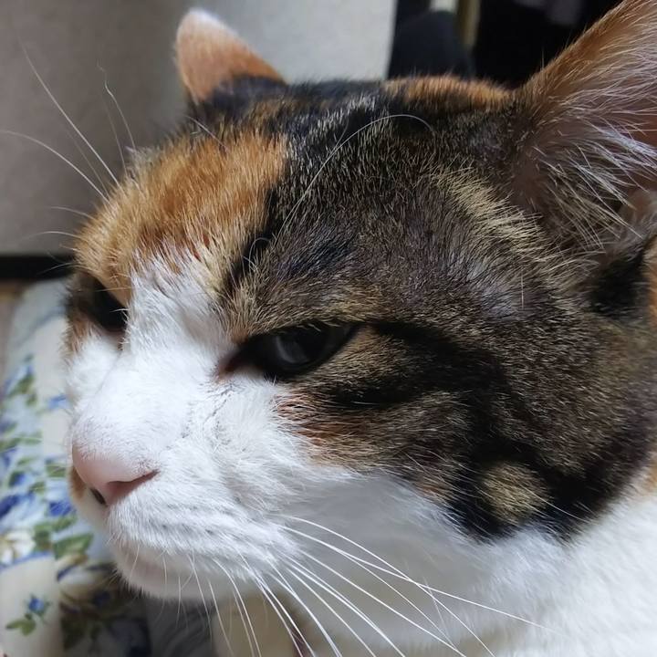 3384b52b 8d1f 499d 8a9b 50dc5590dc1a 1574759092662