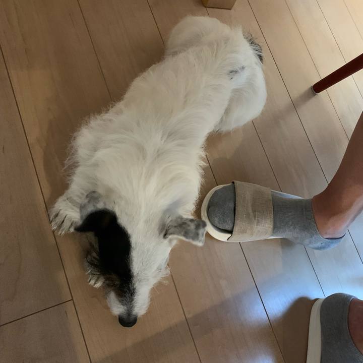 3384fea7 1912 411f 9420 bcccd5cf7c24 1686476246456