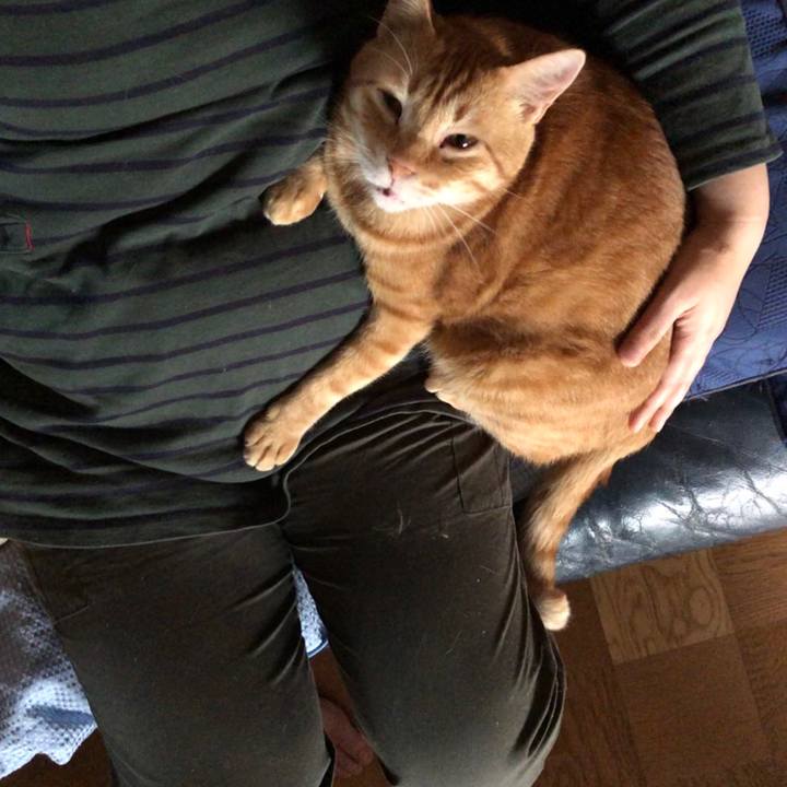 33852c4a e5a9 4668 ad85 4b4a13eb9150 1562580516726