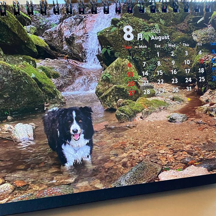 338576a3 760c 43d2 b7c1 dff514fa0380 1690835323588