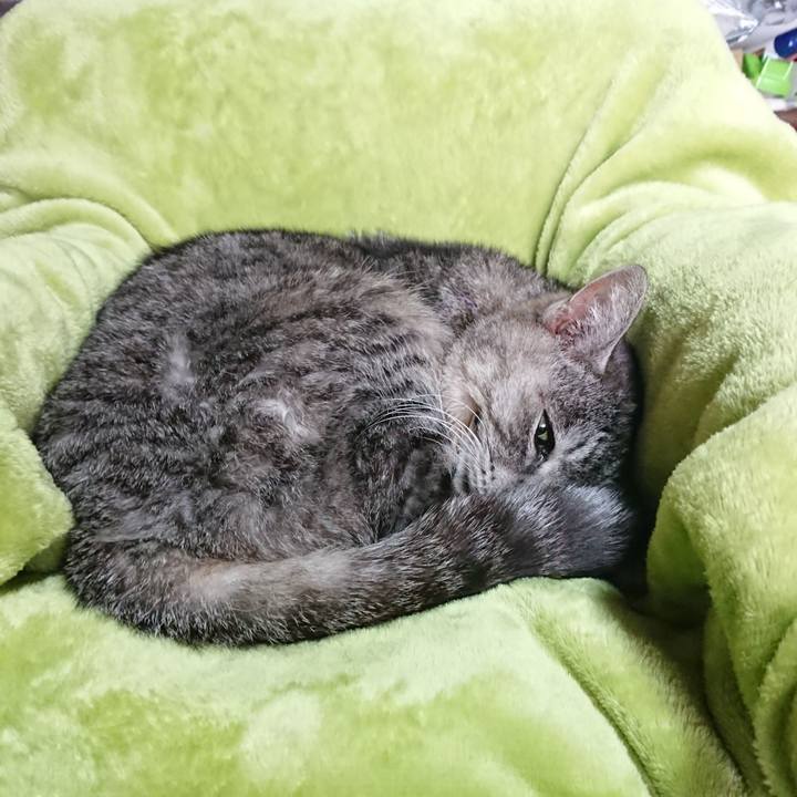 33857ce8 1fed 48b6 bdfa aa65e805faf9 1583469818114