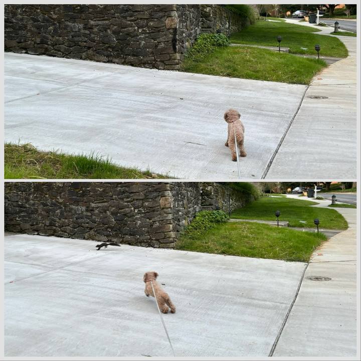 33858602 f9aa 45a6 9a31 317d2d436bc9 1724712033055