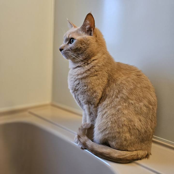 33858ee9 e6e3 483a 9542 82bc4241f8e5 1733632919868