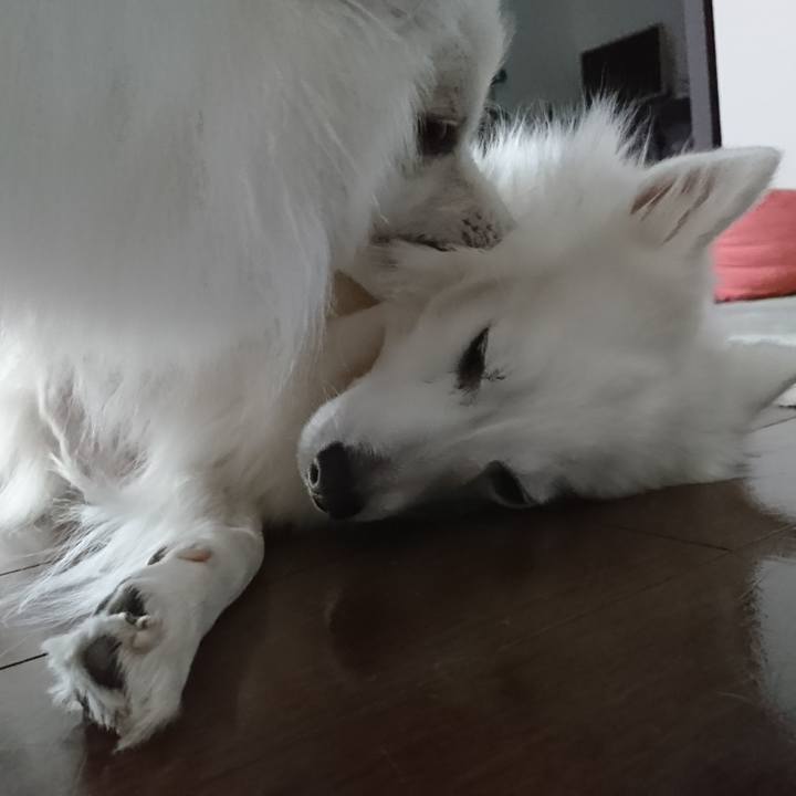 33859668 1301 4d2c b571 2f86b0458cef 1581048685908