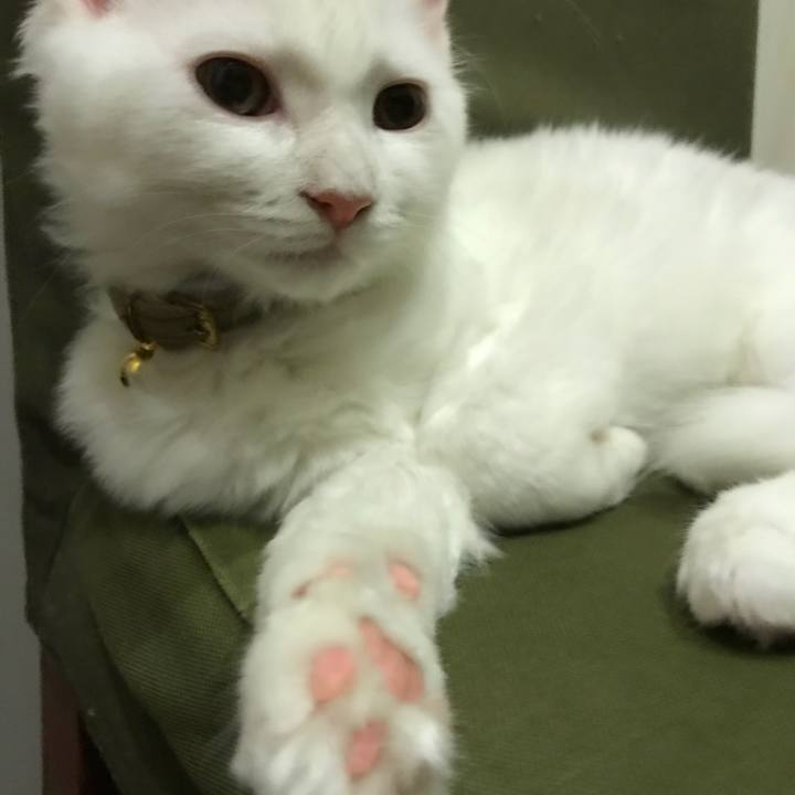 3385c1c4 4483 484b 85b5 11892918b062 1509619581818