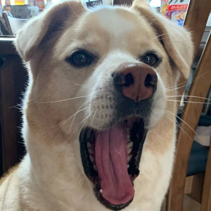 3385fe3a b168 4cfc b551 d946c4eda765 1585378336678