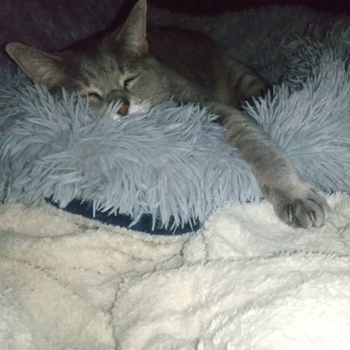 338603da dd41 4331 9698 89f172efd1f2 1643830734083