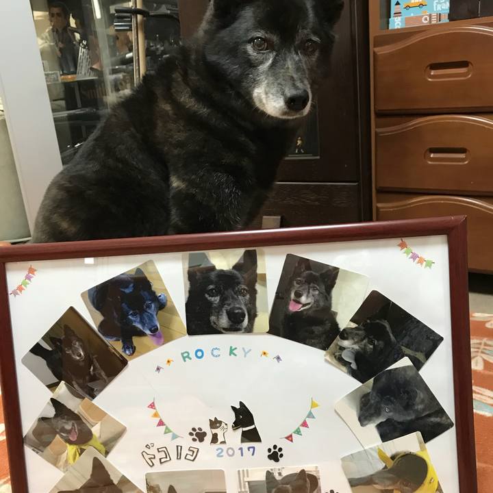 33860de3 68ce 49dc a1dd 37cbb37c1aac 1518785111752