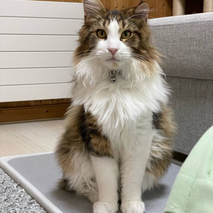 338649ac 1765 4dfb b4c3 2c5d678b42f9 1642681565902