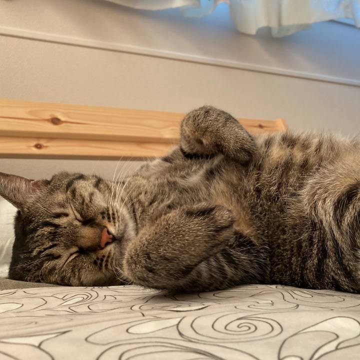 33865cd9 f372 47e3 b4f1 d59b552e24e4 1633948520056