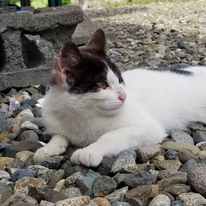 33866c66 049e 4165 85b6 25e492bff0ce 1559203715708