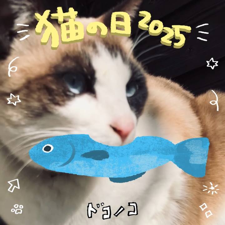 3386744c f0df 470d 8576 6b00b0aad305 1740104247798