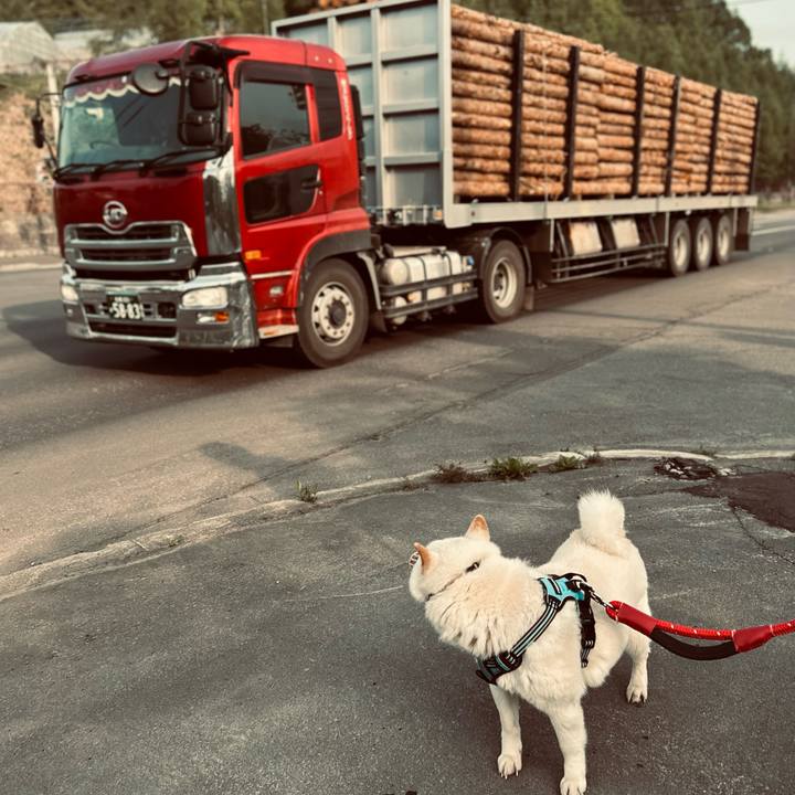 33867570 105c 4b72 b2df 336996dbbfd7 1684359997194