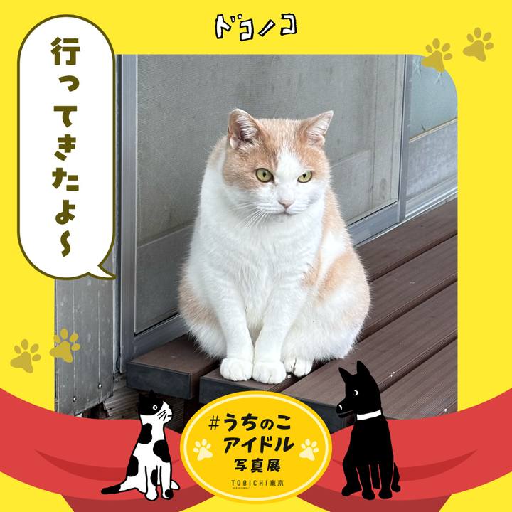 3386af84 4b18 44ef b1b2 c3c427282b37 1761625378868