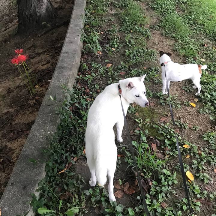 3386c839 5453 4e00 a618 0a7f9d9ceb1e 1537174835048