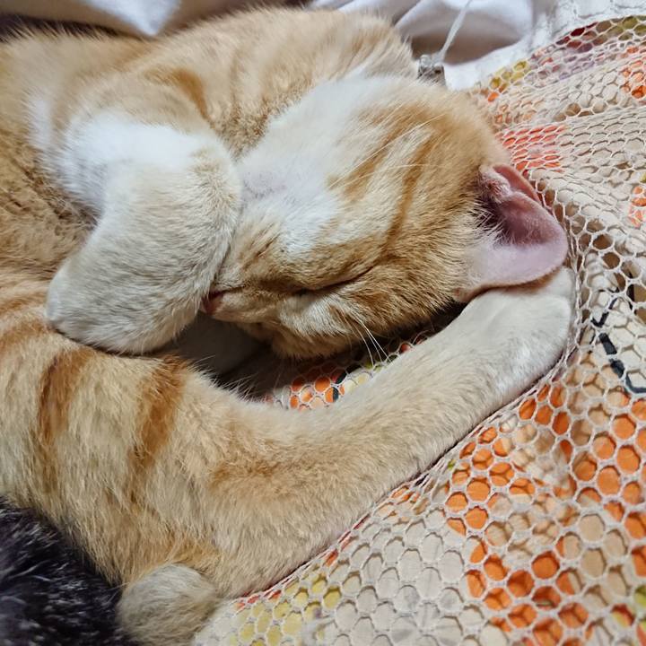 3386d57f be8c 4613 86b6 529fa509198a 1591536702525