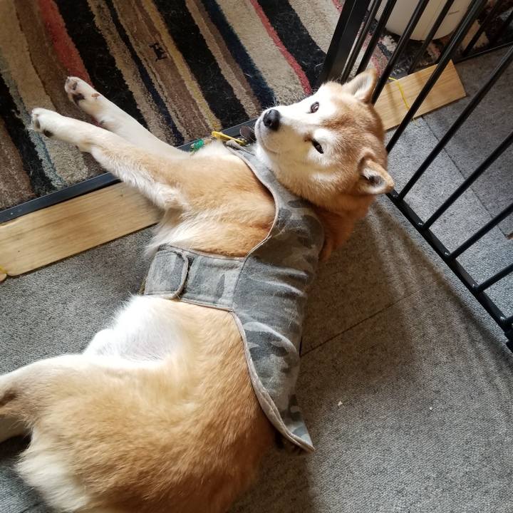 3386e6f1 15eb 4584 a474 51eb7f4abfe0 1645574050372