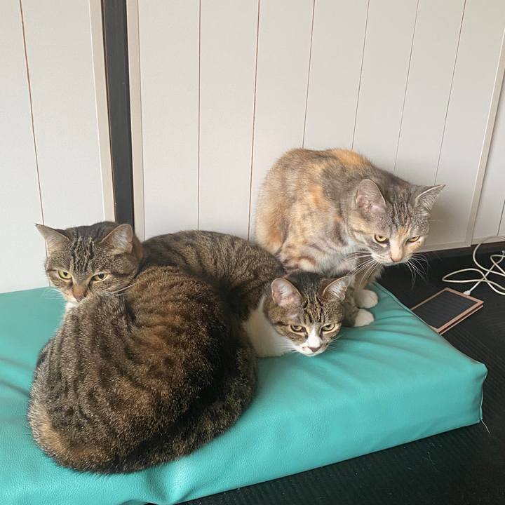 3386f7ce 0c3c 44b5 93ca d14e66ae1911 1587356716444