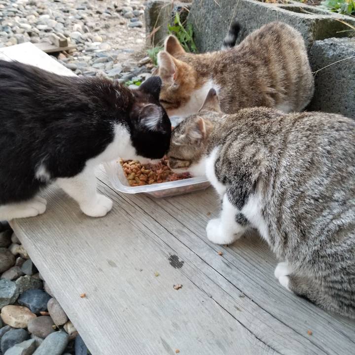 33872f9b f0e0 43e0 8f50 ab7df1263916 1602676198773