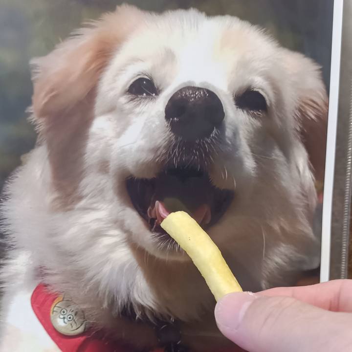 33874d59 46d3 49c8 b188 2ed43d9b83a3 1762140921632