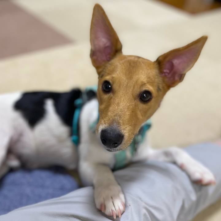 33875186 4b6a 4262 b28c beb4c16678cf 1756038508447