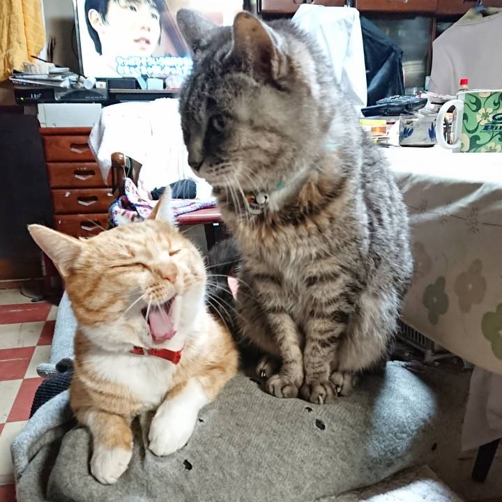 338758fa 596a 491f 93d8 6222353d8be1 1575841284925