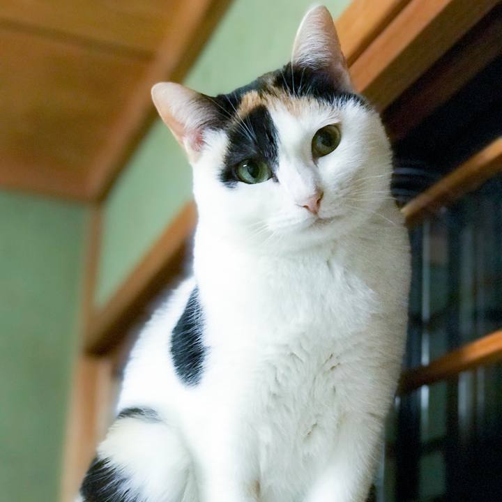 33875e20 13c7 4b53 9f6a 62fa5c56bec9 1515329247062