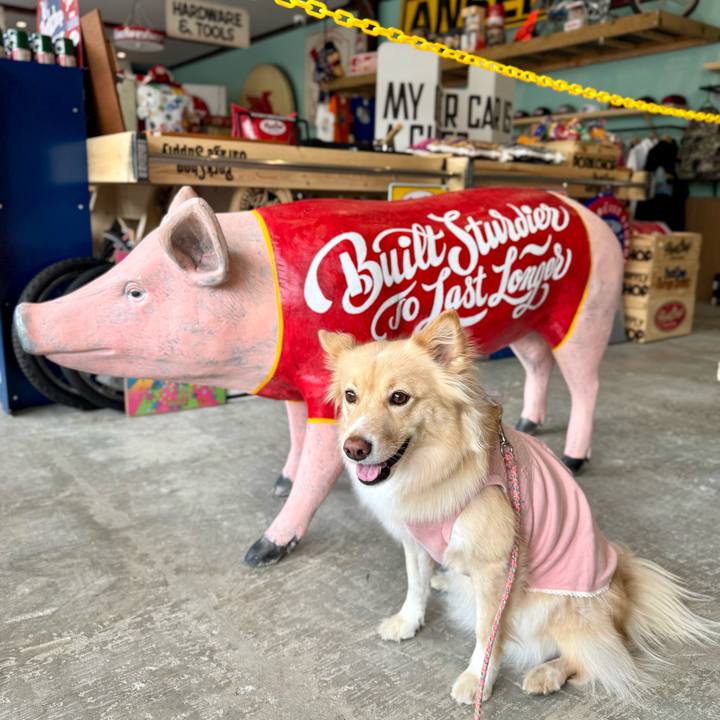 338762a4 a2df 4288 9ea7 8780dccba3c0 1758701896279