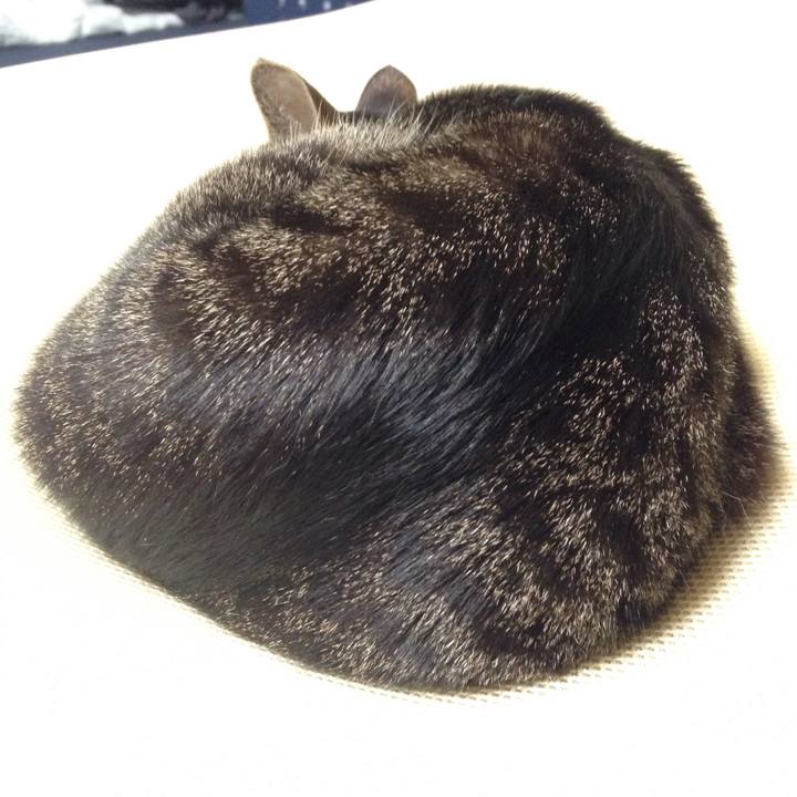 33878db5 918a 4581 a0f2 69d90f39683c 1511510775533