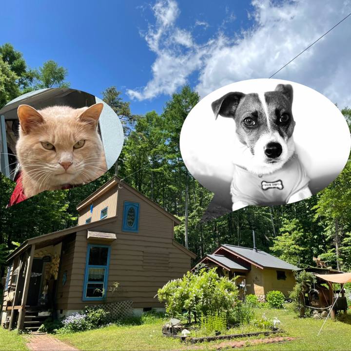 338790a5 7124 4704 925b f0884bee671d 1623907377508