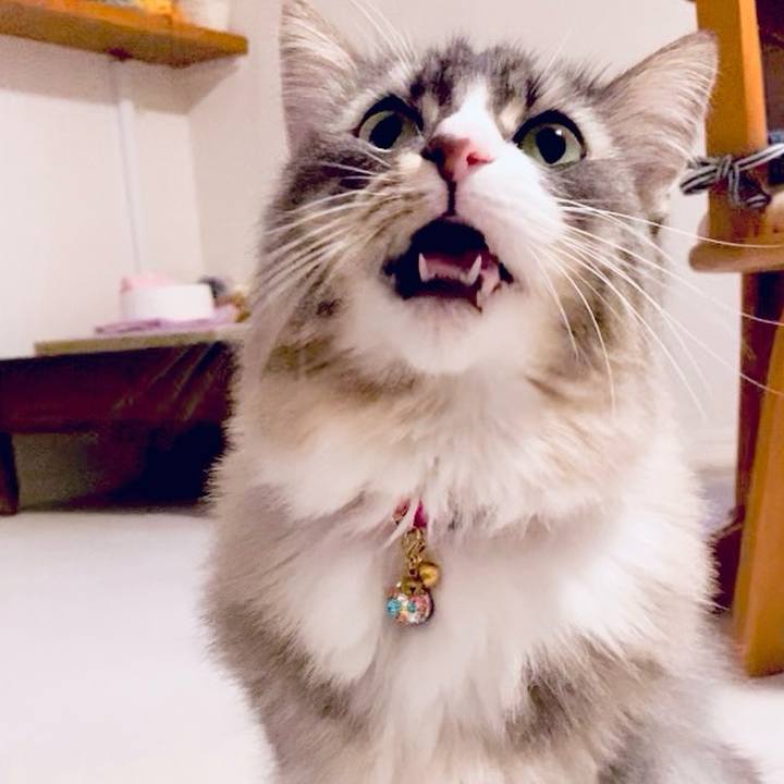 33881441 b31f 41fb a8fc 7d4d5e6f536c 1700583132362